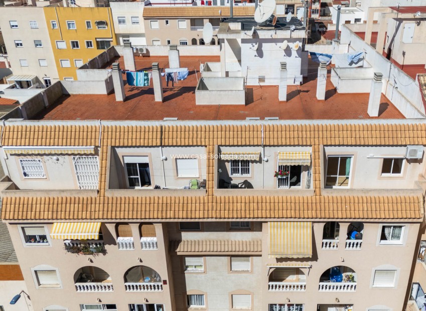 Wiederverkauf - Wohnung - Torrevieja - Costa Blanca