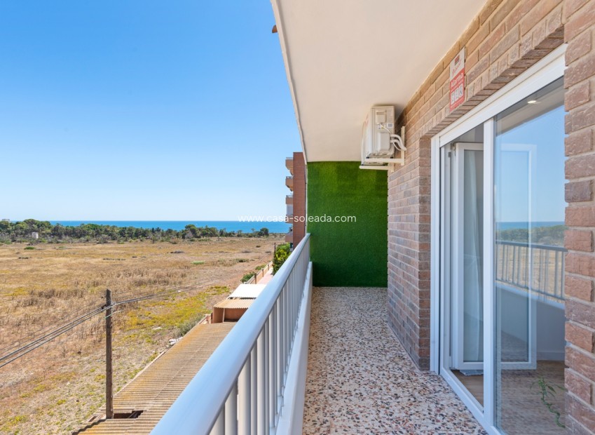 Wiederverkauf - Wohnung - Torrevieja - Costa Blanca