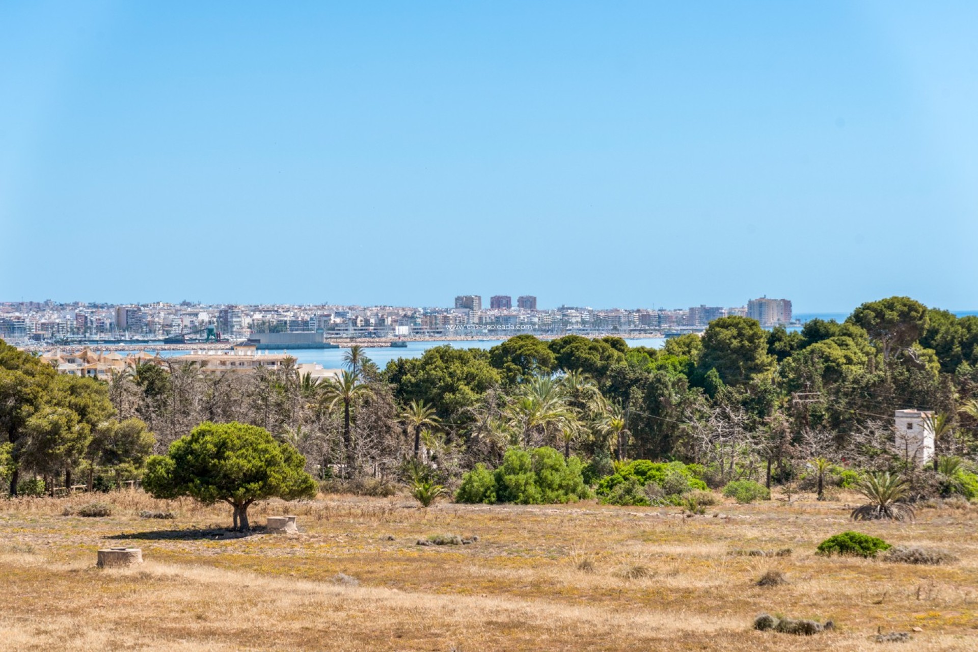 Wiederverkauf - Wohnung - Torrevieja - Costa Blanca