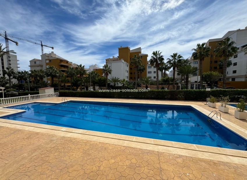 Wiederverkauf - Wohnung - Torrevieja - Costa Blanca