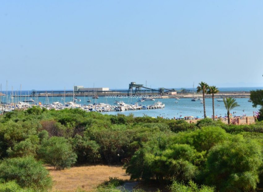 Wiederverkauf - Wohnung - Torrevieja - Costa Blanca