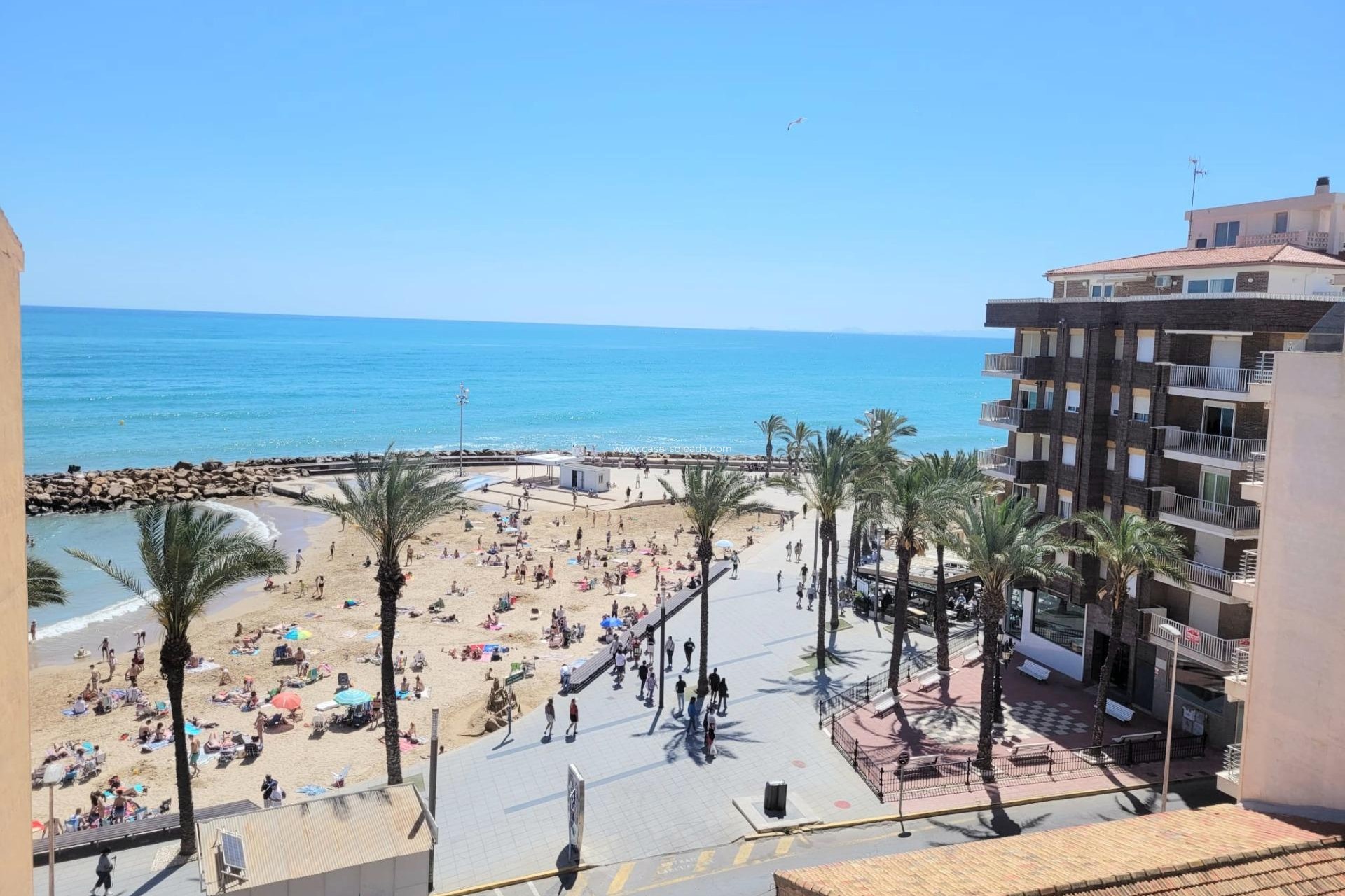 Wiederverkauf - Wohnung - Torrevieja - Costa Blanca
