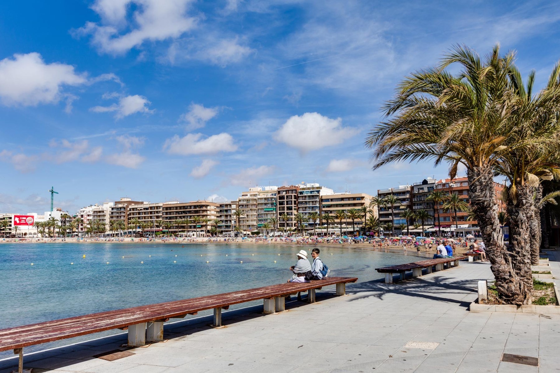 Wiederverkauf - Wohnung - Torrevieja - Costa Blanca