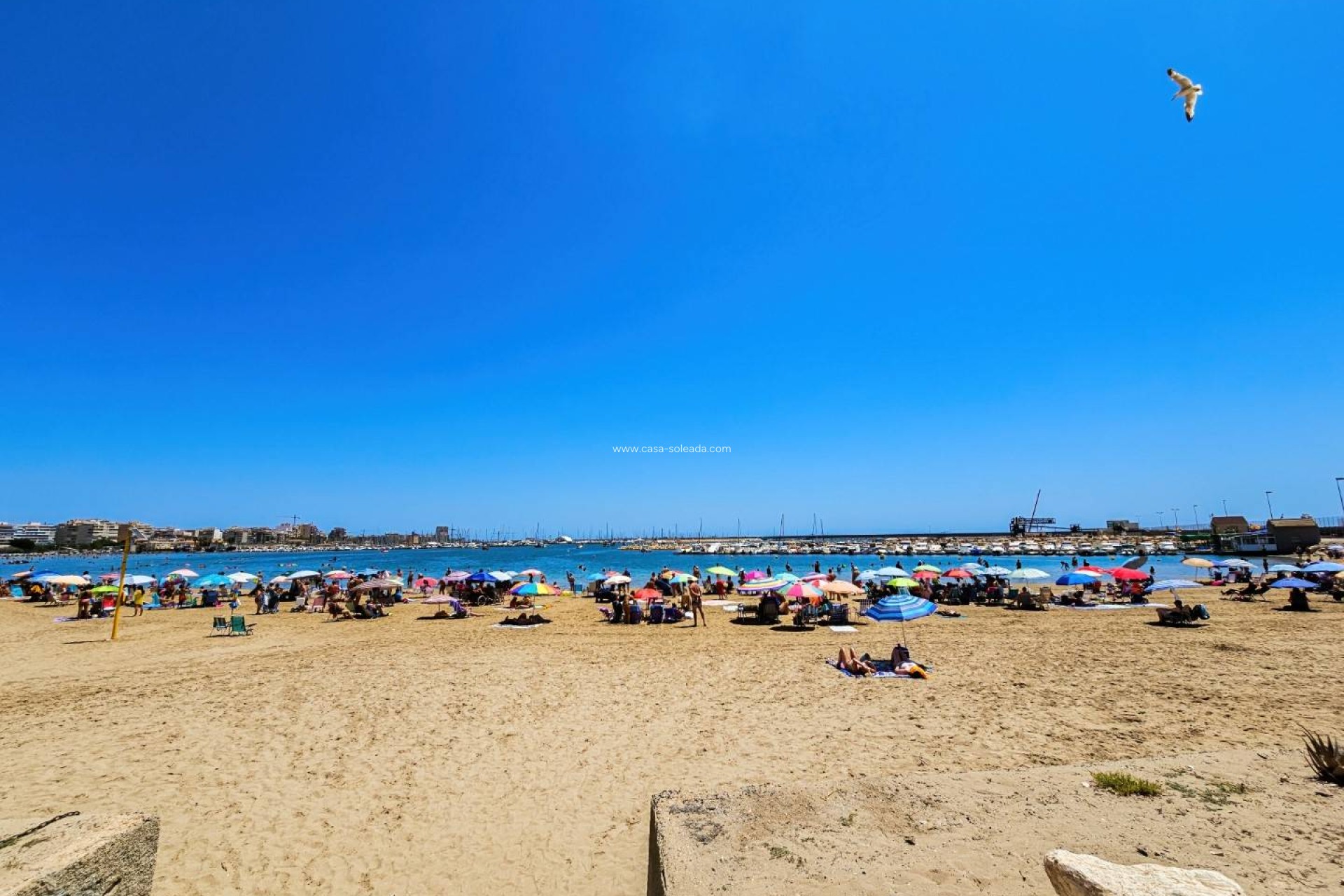 Wiederverkauf - Wohnung - Torrevieja - El Acequión - Los Náufragos