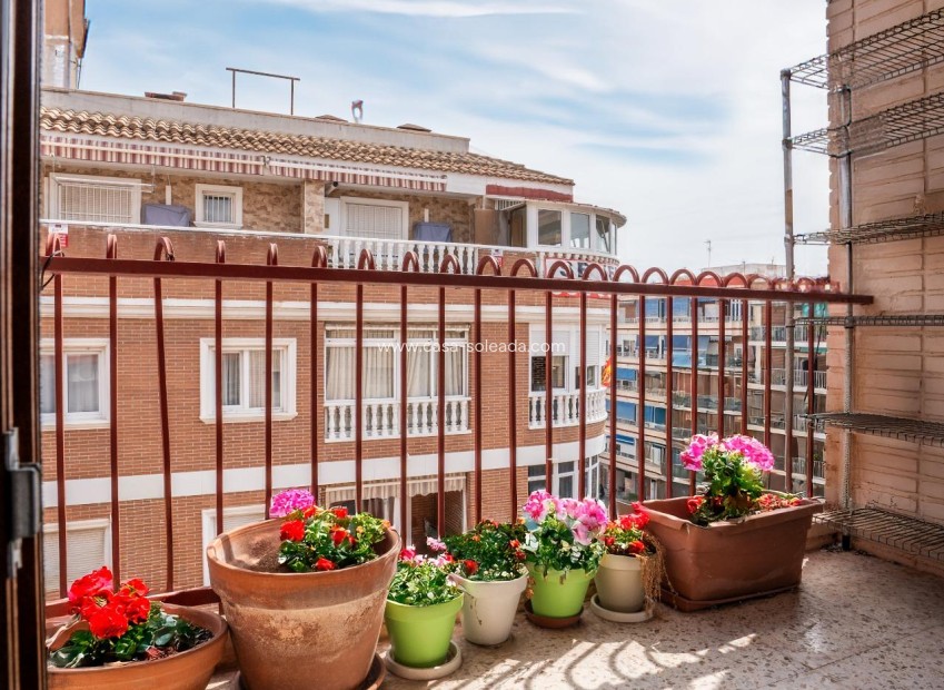 Wiederverkauf - Wohnung - Torrevieja - El Acequión - Los Náufragos
