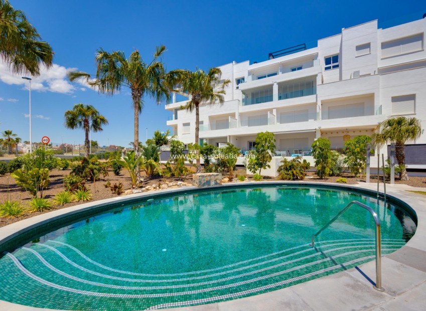 Wiederverkauf - Wohnung - Torrevieja - Los Balcones