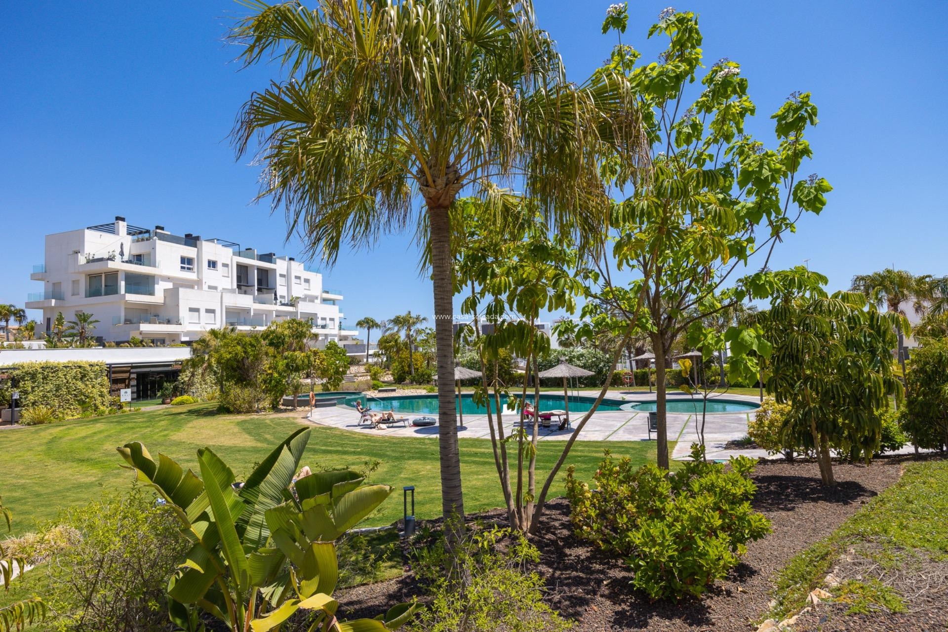 Wiederverkauf - Wohnung - Torrevieja - Los Balcones