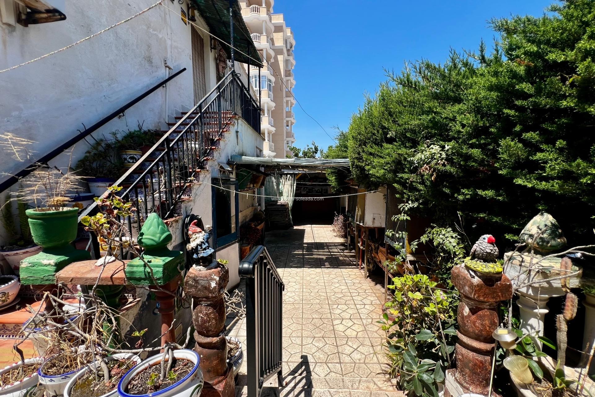 Wiederverkauf - Wohnung - Torrevieja - Nueva Torrevieja