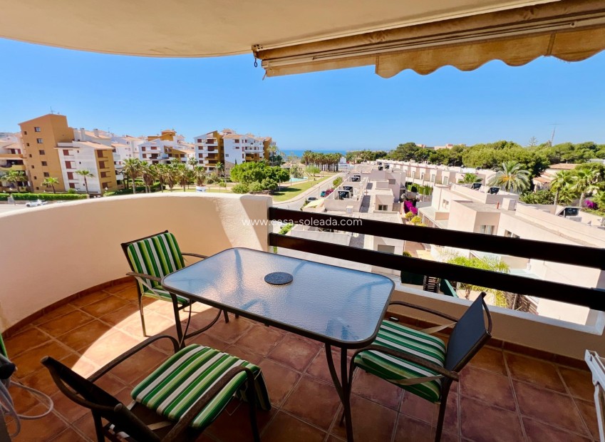 Wiederverkauf - Wohnung - Torrevieja - Punta Prima
