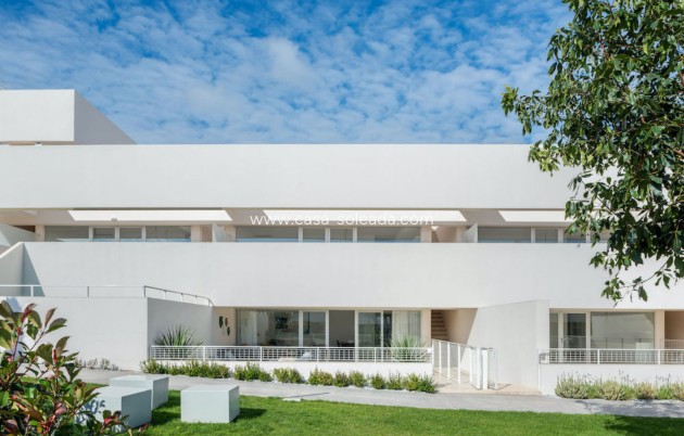 Wohnung - Neue Gebäude - Torrevieja - Torrevieja
