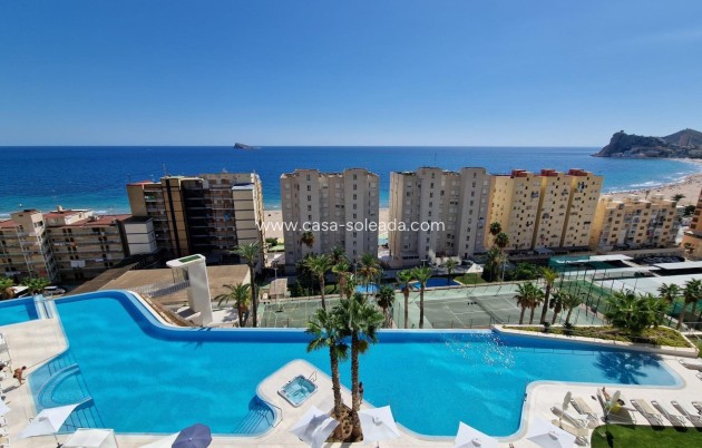 Wohnung - Wiederverkauf - Benidorm - Poniente