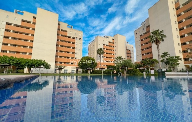 Wohnung - Wiederverkauf - Guardamar del Segura - Costa Blanca