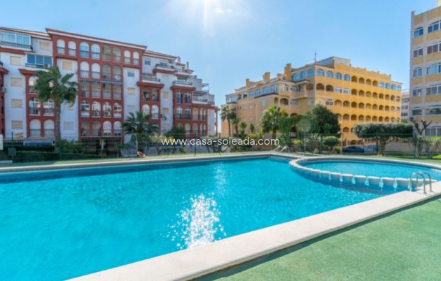 Wohnung - Wiederverkauf - Torrevieja - Costa Blanca