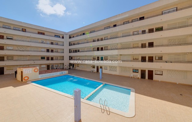 Wohnung - Wiederverkauf - Torrevieja - Estacion Autobuses