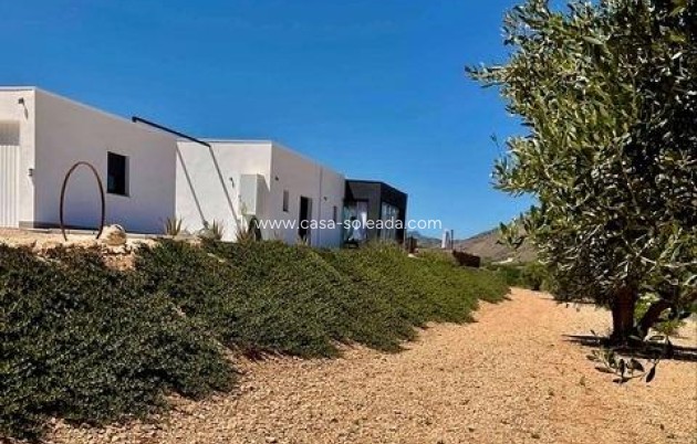 Neue Gebäude - Villa - Hondón de las Nieves