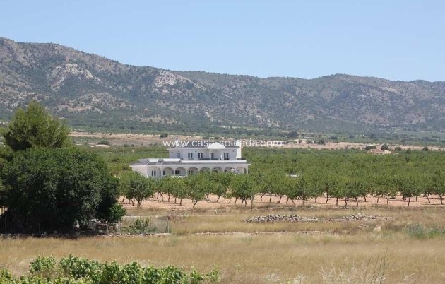 Neue Gebäude - Villa - Pinoso