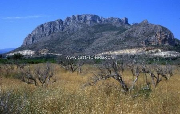 Neue Gebäude - Wohnung - Denia - Dénia