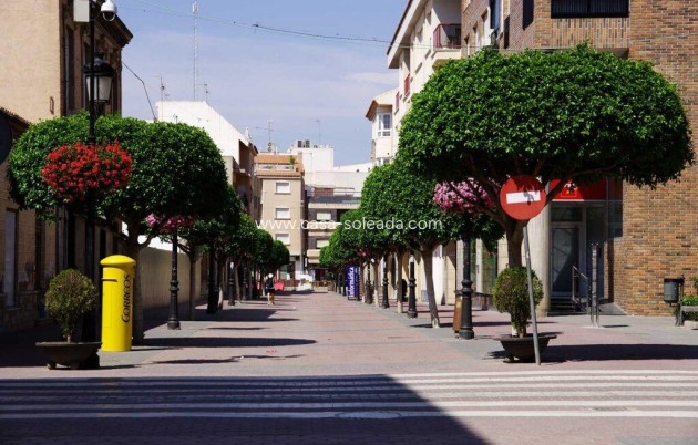 Obra nueva - Villa - Torre Pacheco