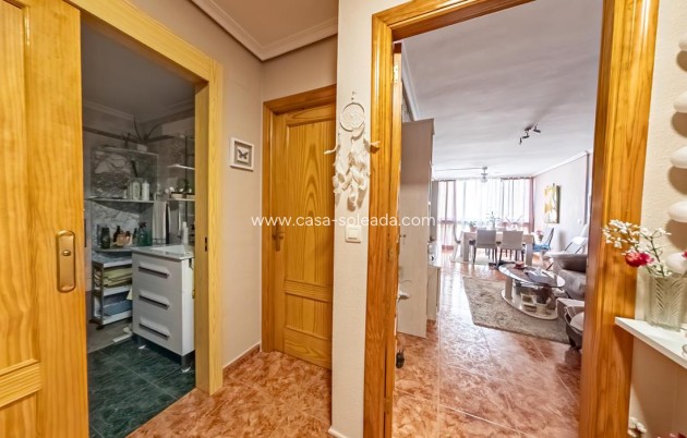 Herverkoop - Appartement / flat - Benidorm - Costa Blanca