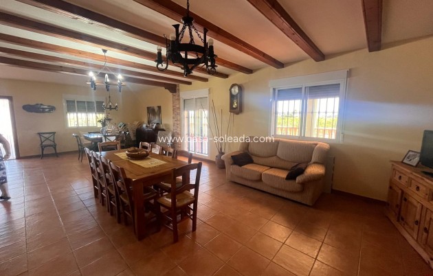 Reventa - Country Property/Finca - Daya Nueva - La Bodega