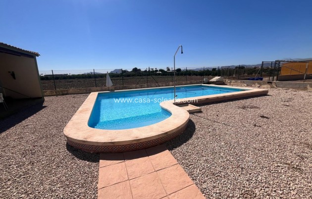 Reventa - Country Property/Finca - Daya Nueva - La Bodega