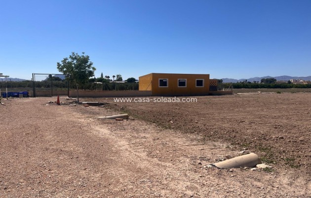 Reventa - Country Property/Finca - Daya Nueva - La Bodega
