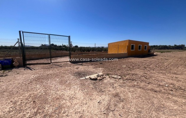 Reventa - Country Property/Finca - Daya Nueva - La Bodega