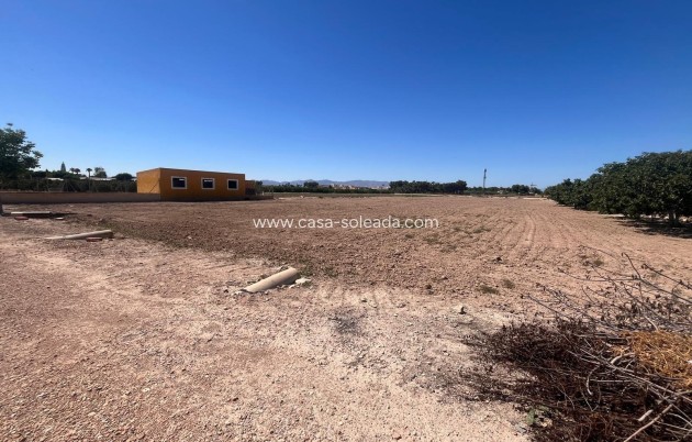 Reventa - Country Property/Finca - Daya Nueva - La Bodega