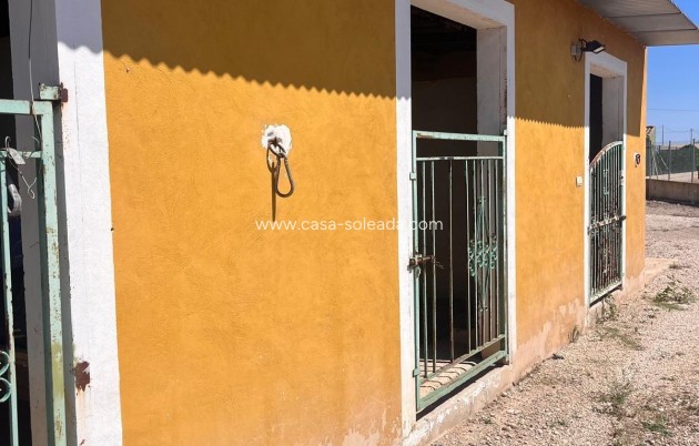 Reventa - Country Property/Finca - Daya Nueva - La Bodega