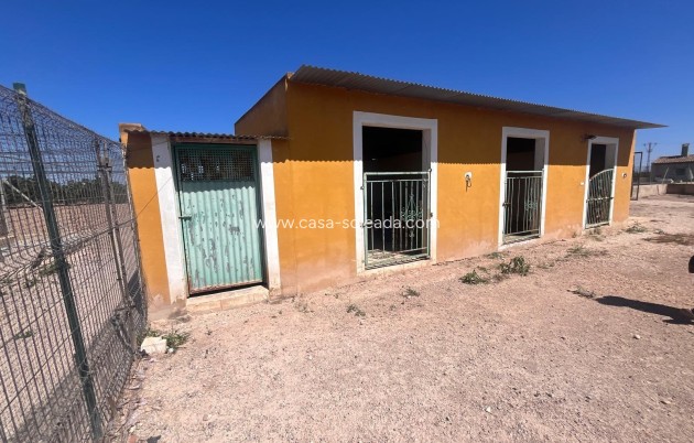 Reventa - Country Property/Finca - Daya Nueva - La Bodega