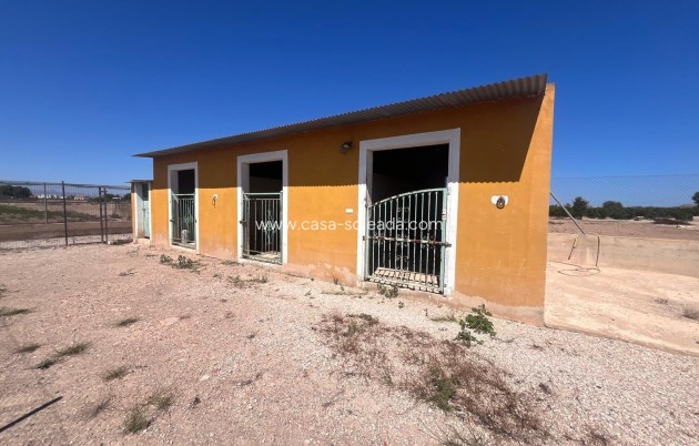 Reventa - Country Property/Finca - Daya Nueva - La Bodega