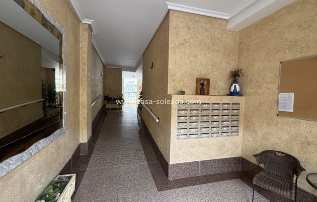 Herverkoop - Appartement / flat - Algorfa