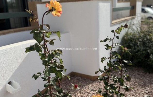 Herverkoop - Appartement / flat - Orihuela Costa - Costa Blanca