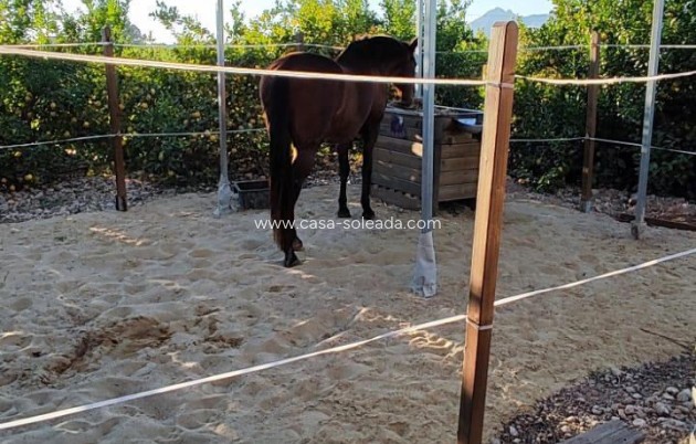 Herverkoop - Country Property/Finca - Orihuela - Inland