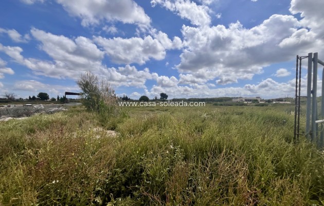 Herverkoop - Land - Catral - Costa Blanca