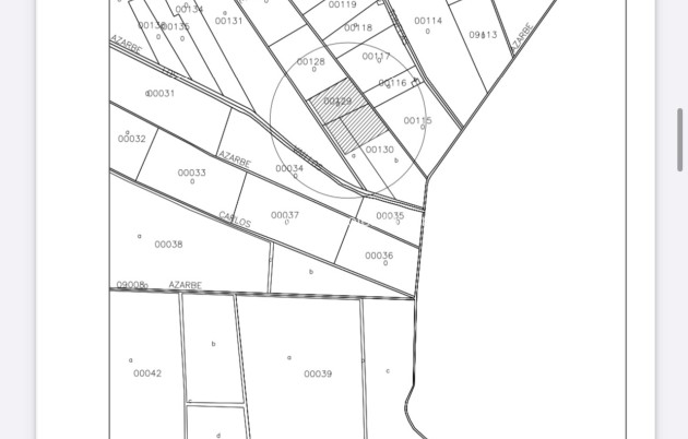 Herverkoop - Land - Catral - Costa Blanca