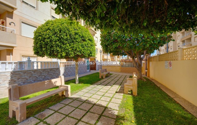 Reventa - Apartamento / piso - Torrevieja - Costa Blanca