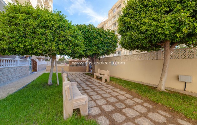 Reventa - Apartamento / piso - Torrevieja - Costa Blanca