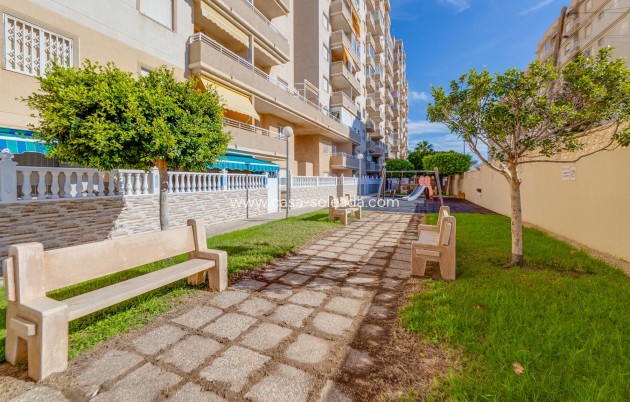 Reventa - Apartamento / piso - Torrevieja - Costa Blanca