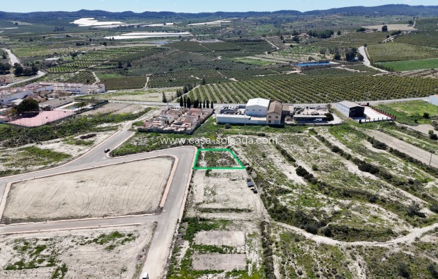 Herverkoop - Land - Torremendo - Costa Blanca