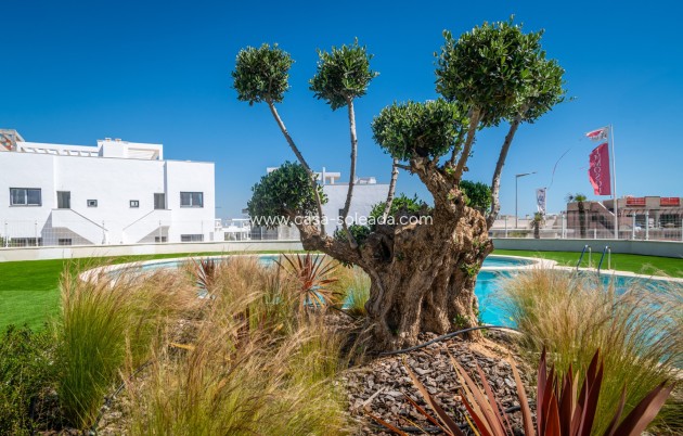 Herverkoop - Appartement / flat - Torrevieja - Costa Blanca