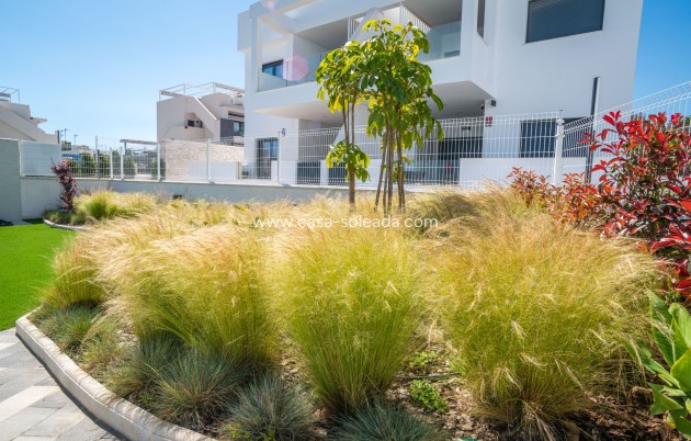 Herverkoop - Appartement / flat - Torrevieja - Costa Blanca