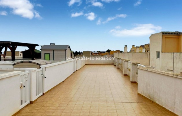 Herverkoop - Appartement / flat - Algorfa