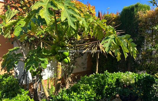 Wiederverkauf - Villa - Guardamar del Segura - Costa Blanca