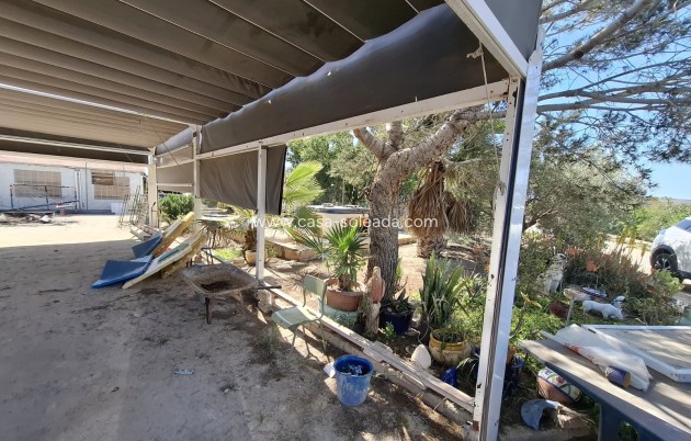 Resale - Country Property/Finca - Guardamar del Segura - Costa Blanca