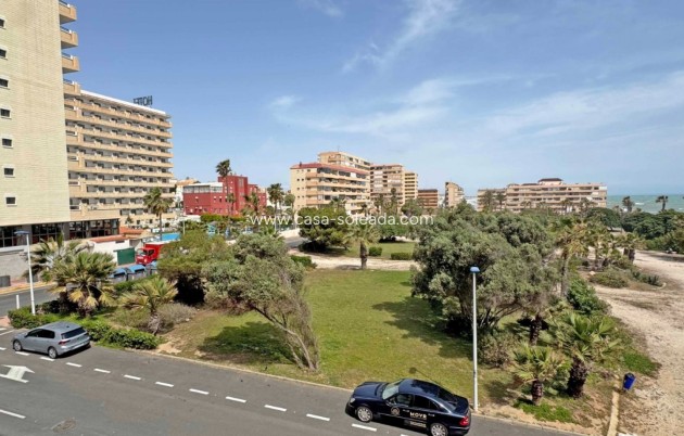 Herverkoop - Appartement / flat - Torrevieja - Costa Blanca