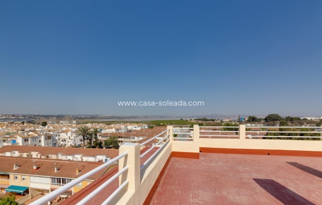 Herverkoop - Appartement / flat - Torrevieja - Playa De Los Naufragos