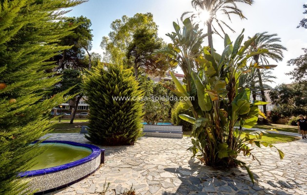 Herverkoop - Appartement / flat - Torrevieja - Playa De Los Naufragos