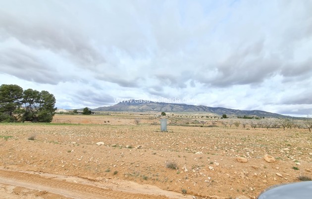 Herverkoop - Villa - Torre Del Rico - Inland