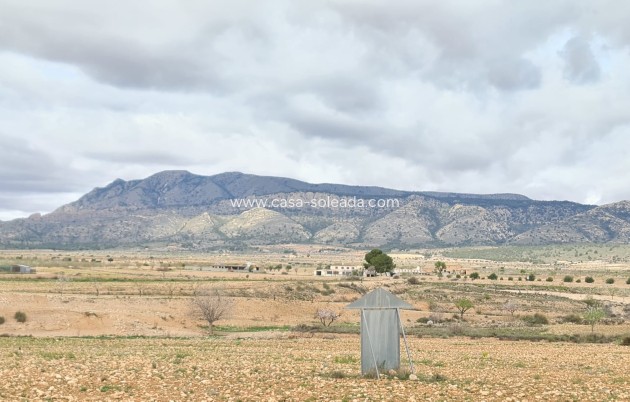 Herverkoop - Villa - Torre Del Rico - Inland